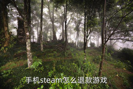 手游怎么能退款，微信游戏充值怎么退款