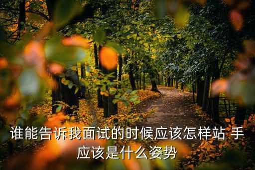 谁能告诉我面试的时候应该怎样站 手应该是什么姿势