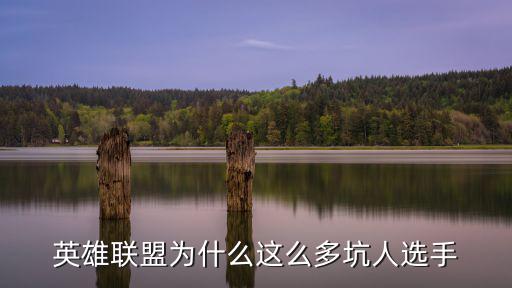 英雄联盟为什么这么多坑人选手