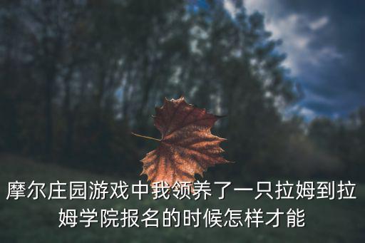 摩尔庄园手游的载具怎么带人，摩尔庄园游戏怎么找人