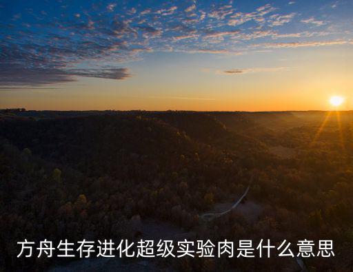 方舟生存进化超级实验肉是什么意思