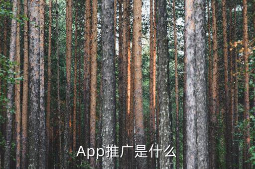 App推广是什么