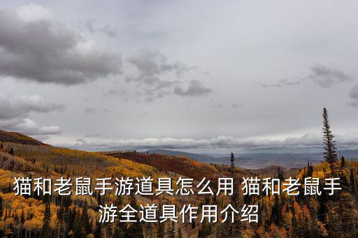 猫和老鼠手游道具怎么用 猫和老鼠手游全道具作用介绍