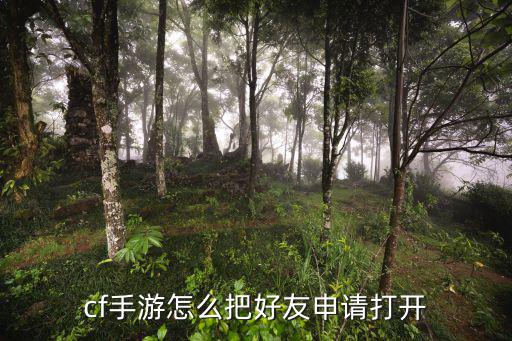 cf手游怎么把好友申请打开