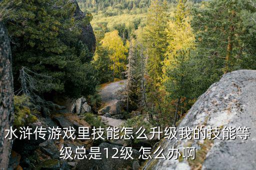 水浒传游戏里技能怎么升级我的技能等级总是12级 怎么办啊