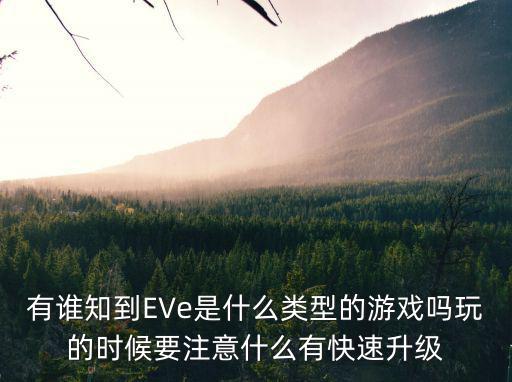 有谁知到EVe是什么类型的游戏吗玩的时候要注意什么有快速升级