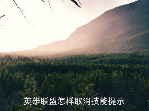 英雄联盟怎样取消技能提示