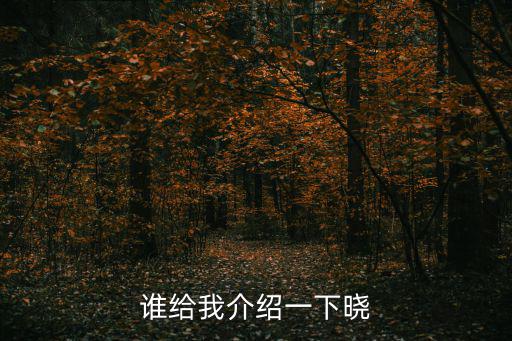 谁给我介绍一下晓