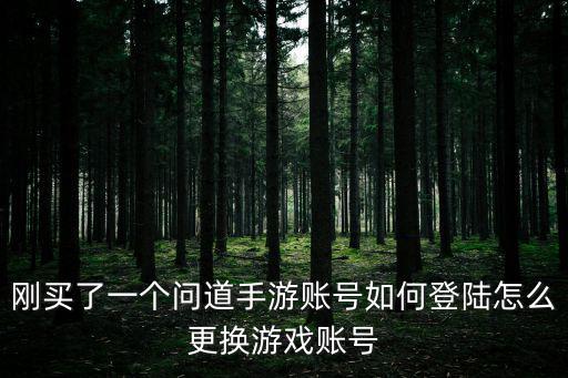 问道手游公测服怎么登陆，如何登陆问道游戏