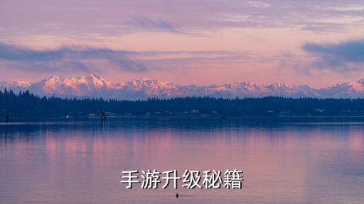 手游升级秘籍