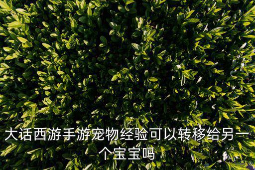大话手游宠物技能怎么转移，大话西游手游宠物经验可以转移给另一个宝宝吗