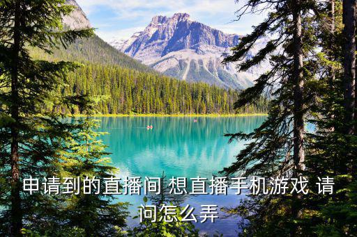 手游直播间怎么弄，玩手机游戏怎么开直播