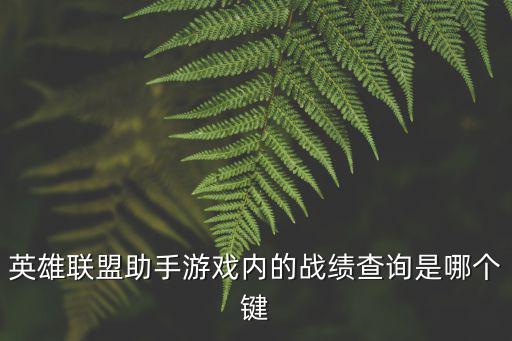 英雄联盟助手游戏内的战绩查询是哪个键