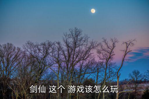 剑仙 这个 游戏该怎么玩