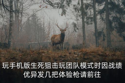 玩手机版生死狙击玩团队模式时因战绩优异发几把体验枪请前往