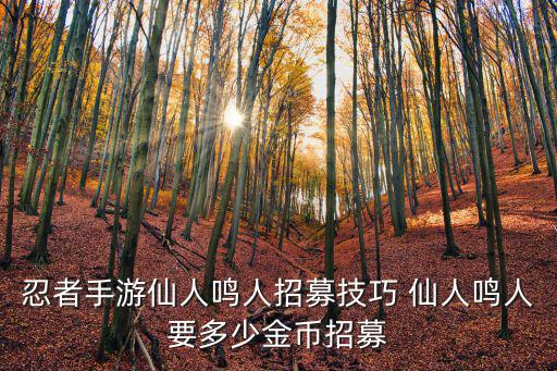 忍者手游仙人鸣人招募技巧 仙人鸣人要多少金币招募