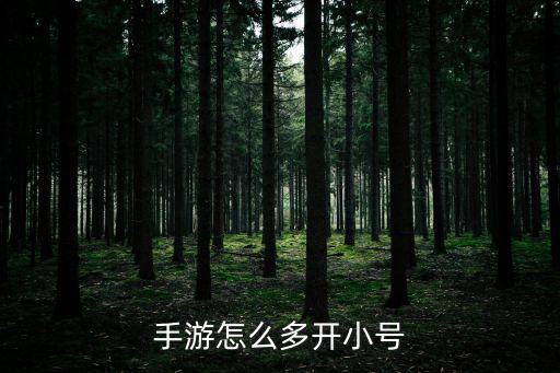 手游怎么多开小号