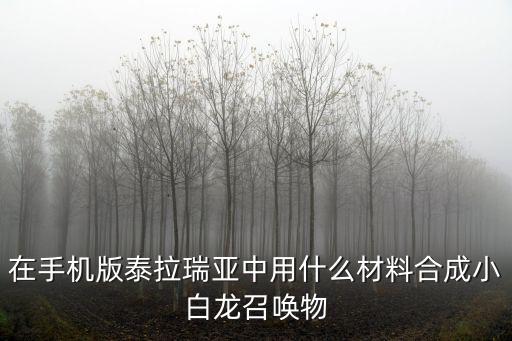 在手机版泰拉瑞亚中用什么材料合成小白龙召唤物