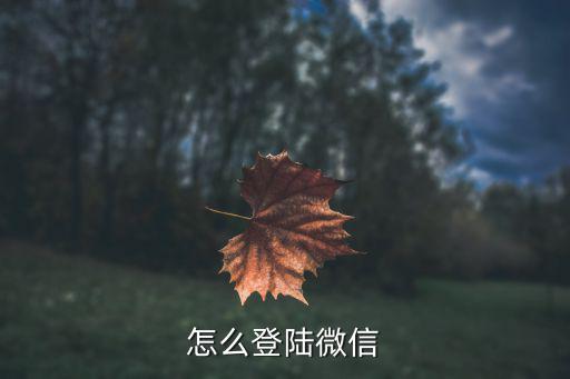 怎么登陆微信