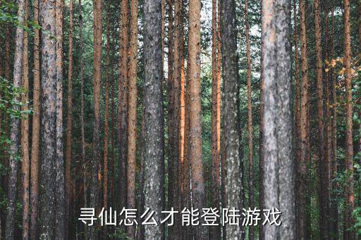 寻仙怎么才能登陆游戏
