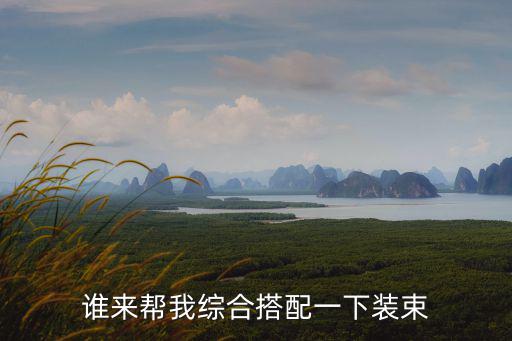 谁来帮我综合搭配一下装束