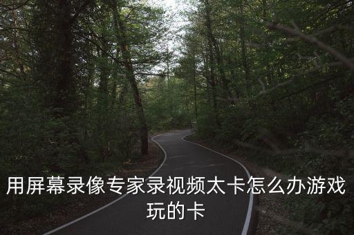 斗鱼手游录屏卡怎么办，用屏幕录像专家录视频太卡怎么办游戏玩的卡
