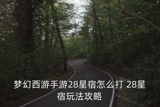 梦幻西游手游28星宿怎么打 28星宿玩法攻略