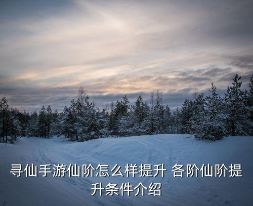 寻仙手游仙阶怎么升，寻仙手游怎么提升仙阶 全仙阶提升要求及属性增加一览