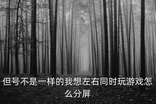 但号不是一样的我想左右同时玩游戏怎么分屏