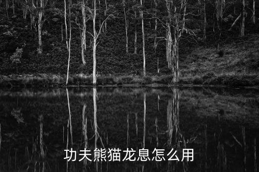 功夫熊猫手游龙币怎么用，功夫熊猫中稀有钱币怎么用
