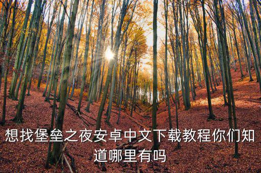 想找堡垒之夜安卓中文下载教程你们知道哪里有吗