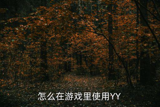 怎么在游戏里使用YY