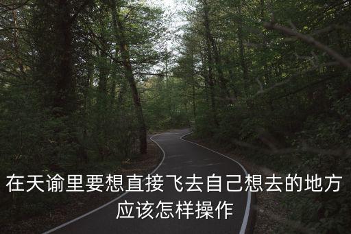 在天谕里要想直接飞去自己想去的地方应该怎样操作