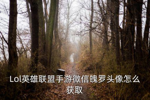 Lol英雄联盟手游微信魄罗头像怎么获取