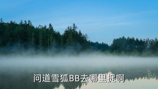 天涯明月刀手游怎么捕捉雪狐宝宝，问道雪狐BB去哪里捉啊