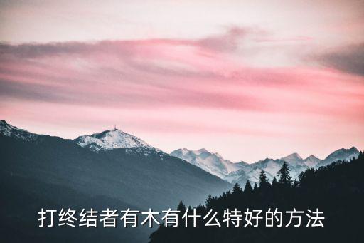 打终结者有木有什么特好的方法