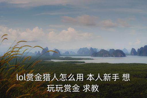 手游怎么玩赏金猎人的，赏金猎人怎么玩