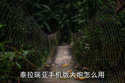 泰拉瑞亚手机版大炮怎么用