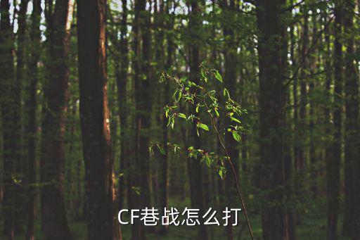 CF巷战怎么打