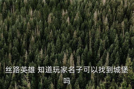 丝路英雄 知道玩家名子可以找到城堡吗