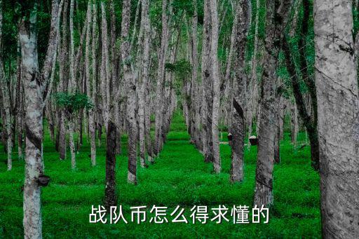 守望先锋手游战队怎么得，战队贡献怎么得