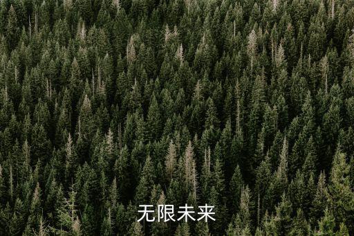 无限未来