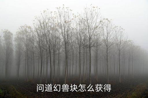 问道手游幻兽礼包怎么获得，怎么获得幻兽