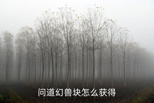 问道幻兽块怎么获得