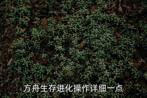 方舟生存进化操作详细一点