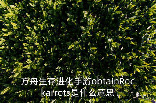 方舟生存进化手游obtainRockarrots是什么意思