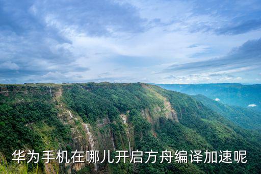 华为手机在哪儿开启方舟编译加速呢