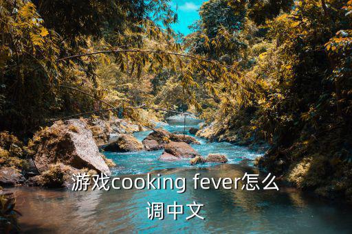 菜鸡手游怎么改成中文，游戏cooking fever怎么调中文