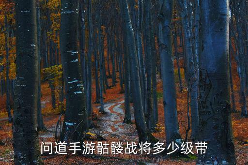 问道手游骷髅战将多少级带