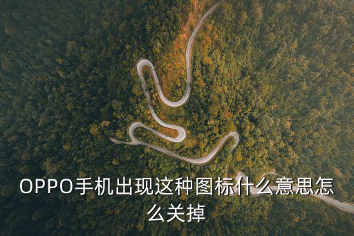 OPPO手机出现这种图标什么意思怎么关掉